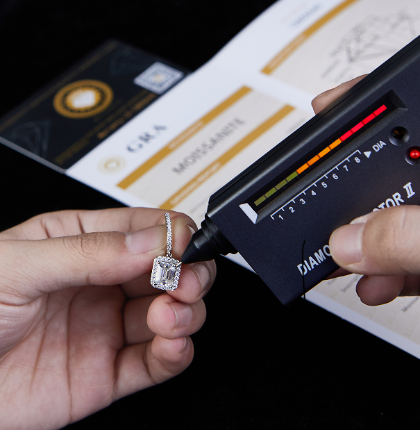 VERDANORA Moissanite Earrings (S925)